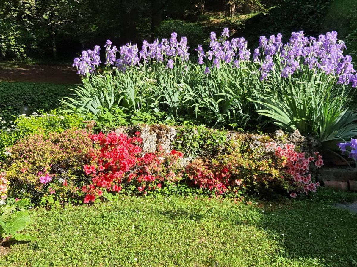 B&B Villa Sant'Anna Bérgamo Exterior foto