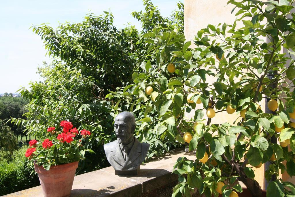 B&B Villa Sant'Anna Bérgamo Exterior foto